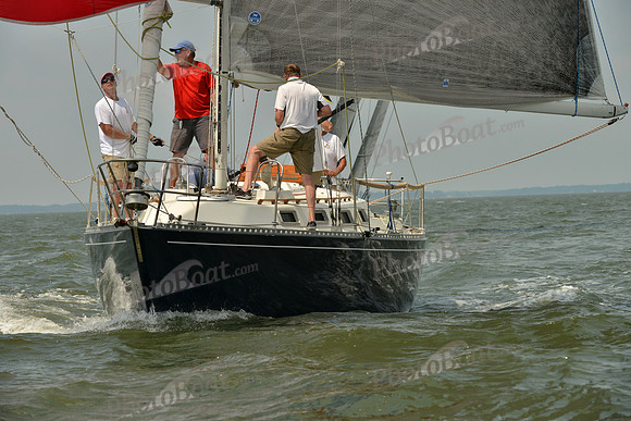 2016 Southern Bay Race Week F_0218