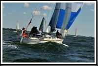 proof_2010_Vineyard_Race_0156