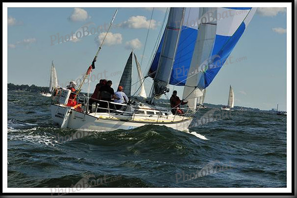 proof_2010_Vineyard_Race_0156