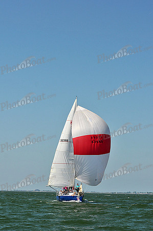 2013 Southern Bay Race Week C 709