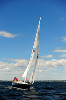 2014 Vineyard Race A 245