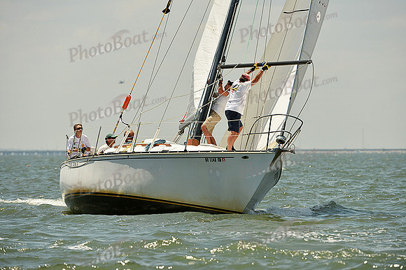 2015 Southern Bay Race Week A 323