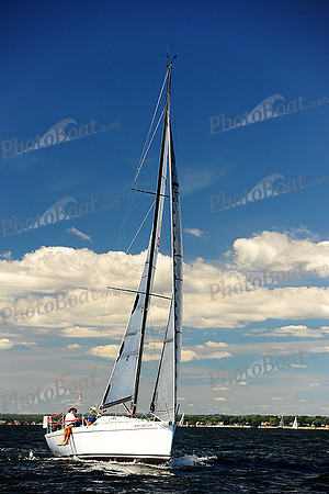 2014 Vineyard Race A 738