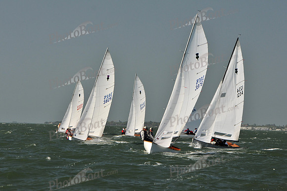 2012 Thistle Midwinters B 512