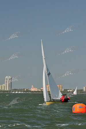 2012 Thistle Midwinters B 1016