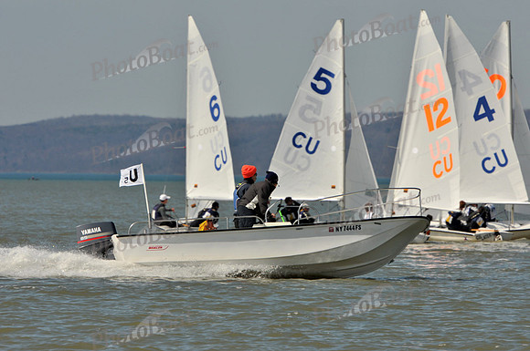 2011_Prosser_C 194