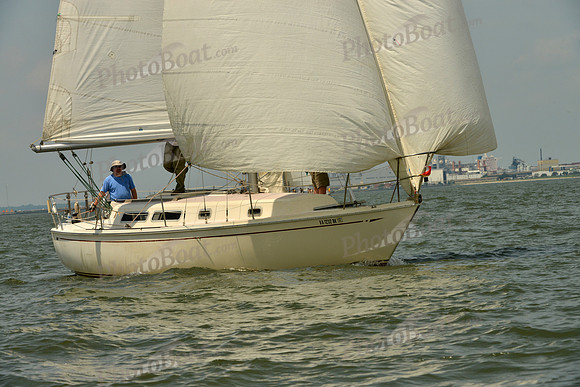 2016 Southern Bay Race Week F_0374