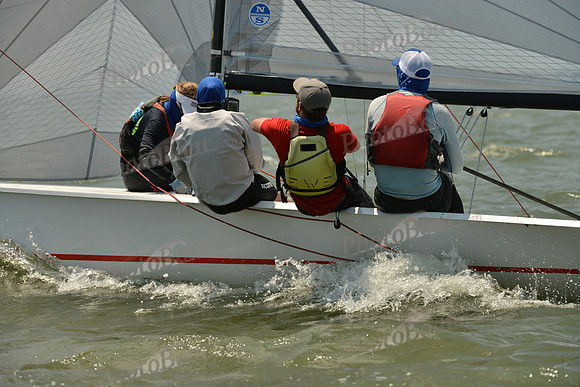 2016 Southern Bay Race Week A_1379
