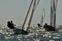 2012 Thistle Midwinters A 067