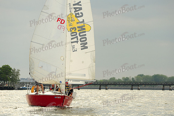 2014 NY Architects Regatta 592