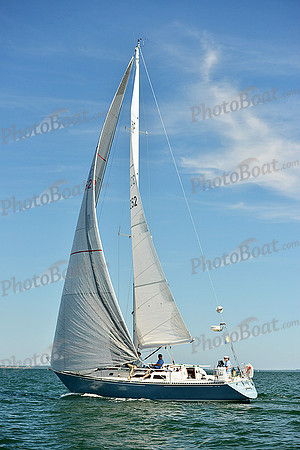 2015 Cape Charles Cup A 1488