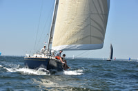 2019 Vineyard Race A_0543