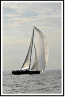 proof_2010 Block Island Race 977