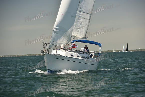 2024 Figawi 0185