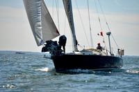 2017 Vineyard Race A_0868