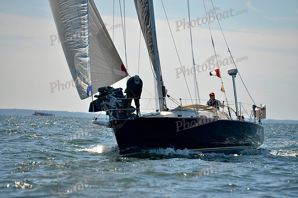 2017 Vineyard Race A_0868
