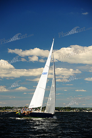 2014 Vineyard Race A 642