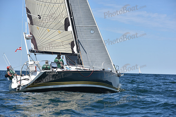 2019 Marblehead to Halifax A_1298