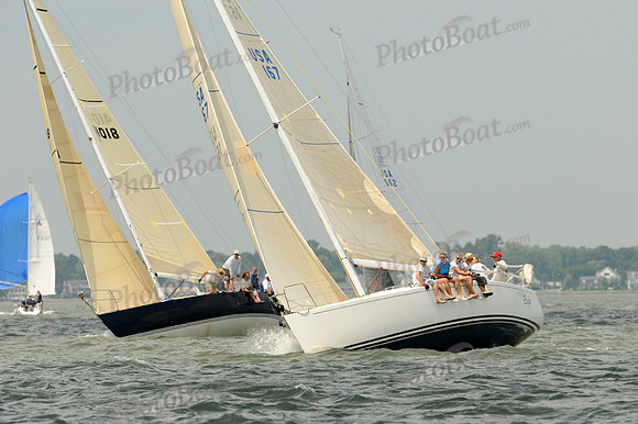 2012 Southern Bay Race Week A 3118