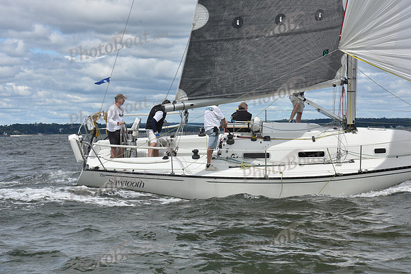 2021 Vineyard Race A 0501