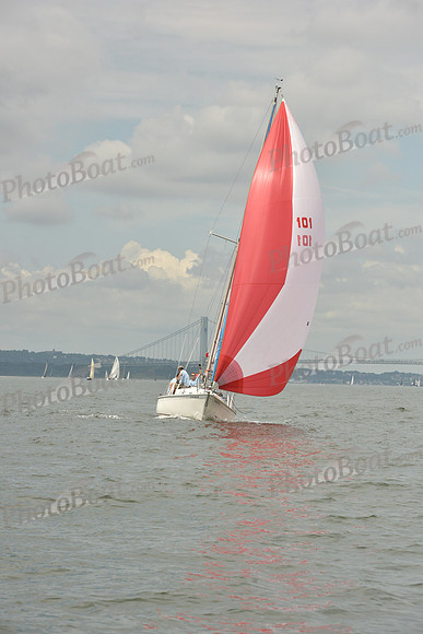 2018 ALIR_1172