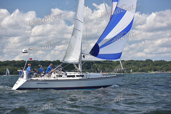 2020 CYC Around the Island Race_1117