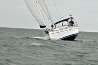 2009 J105 NAs D 1238