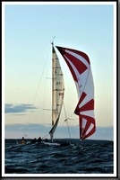 proof_2010_Vineyard_Race_2344