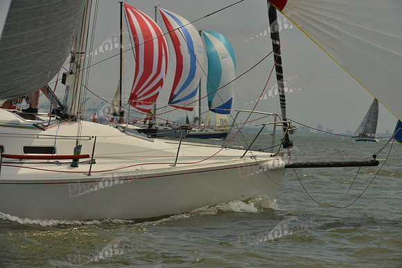 2016 Southern Bay Race Week A_1750