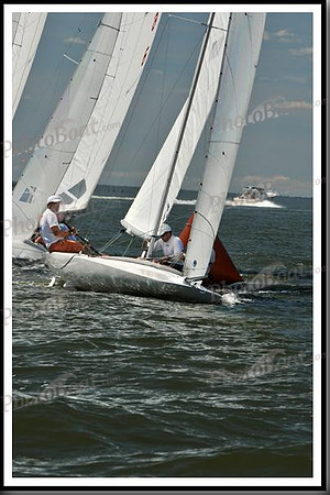 proof_2010_EScows_D 1000