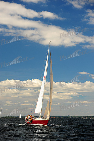 2014 Vineyard Race A 518