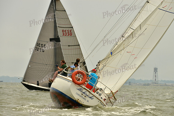 2016 Southern Bay Race Week A_0921