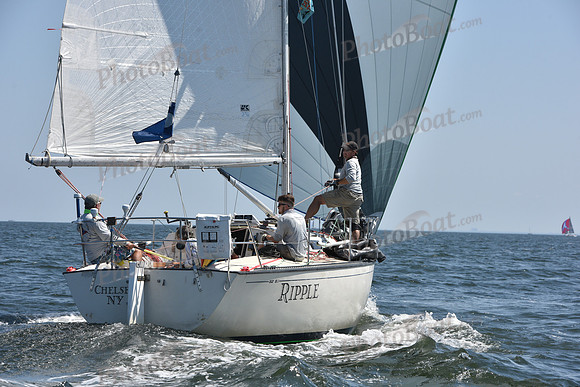 2020 Vineyard Race A_0434