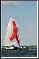 proof_2010_Vineyard_Race_1218
