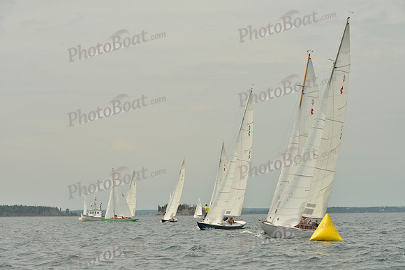 2016 Chester Race Week E_0126