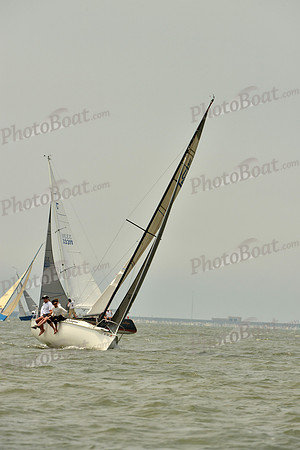 2016 Southern Bay Race Week A_0965