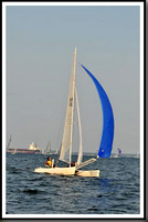 proof_2010 Gov Cup A 299