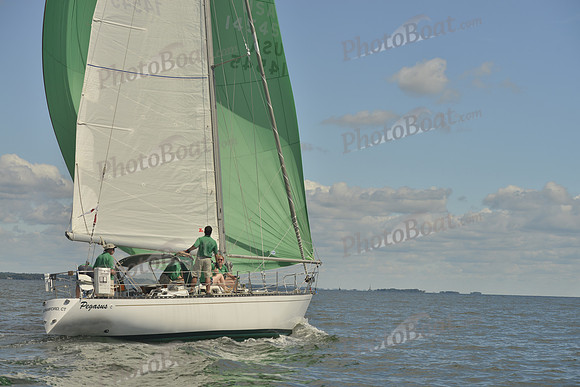 2016 Vineyard Race A_0288