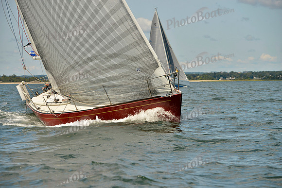 2017 Stamford Denmark Race_0781