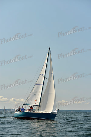 2017 Stamford Denmark Race_0043