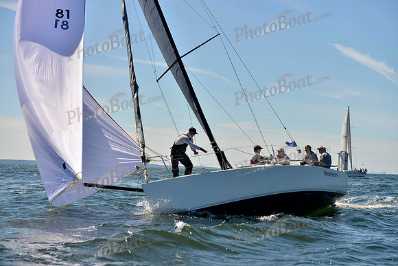 2017 Vineyard Race A_0577