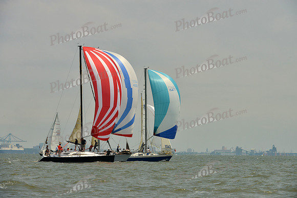 2016 Southern Bay Race Week A_1749