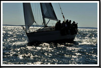 proof_2010_Vineyard_Race_3076