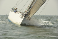 2015 Vineyard Race A 976