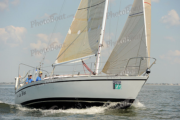 2014 Charleston Race Week A 492