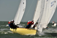 2012 Thistle Midwinters B 560