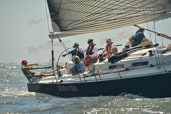 2017 Charleston Race Week A_0749