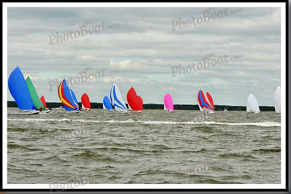 proof_2010_EScows_A 805