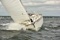 2018 Vineyard Race A_0220