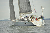 2016 Vineyard Race A_1864